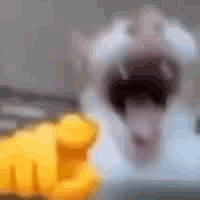 :cat_laugh:
